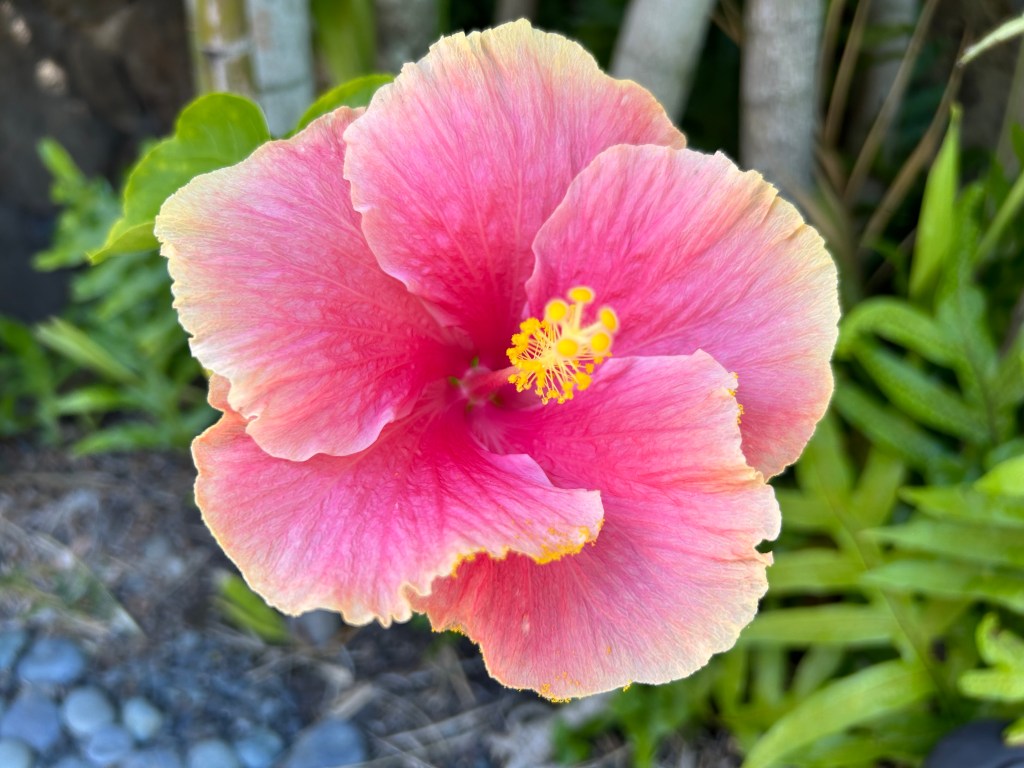 Coping with Anger and the Teenage&nbsp;Ego